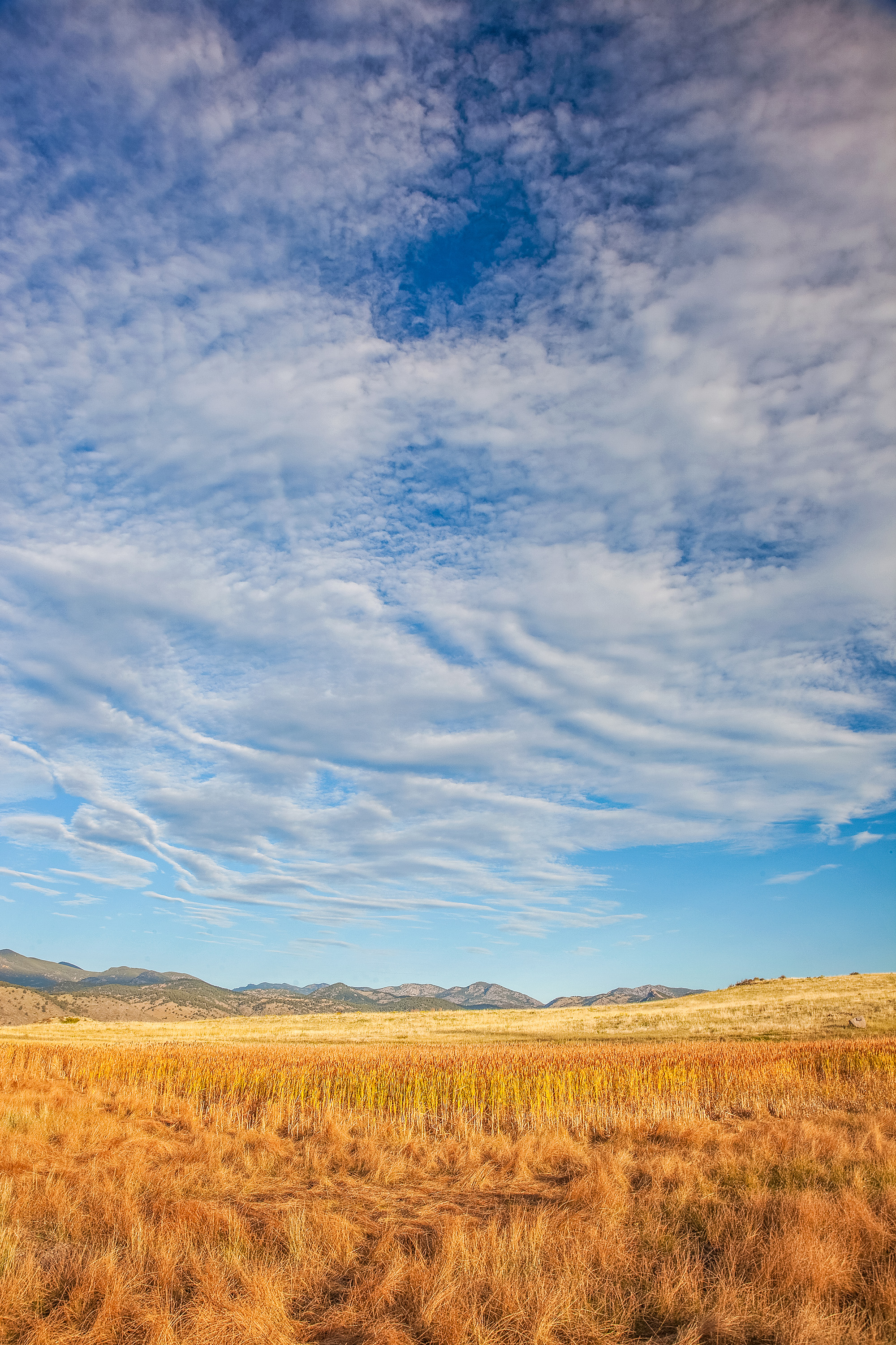 The Front Range