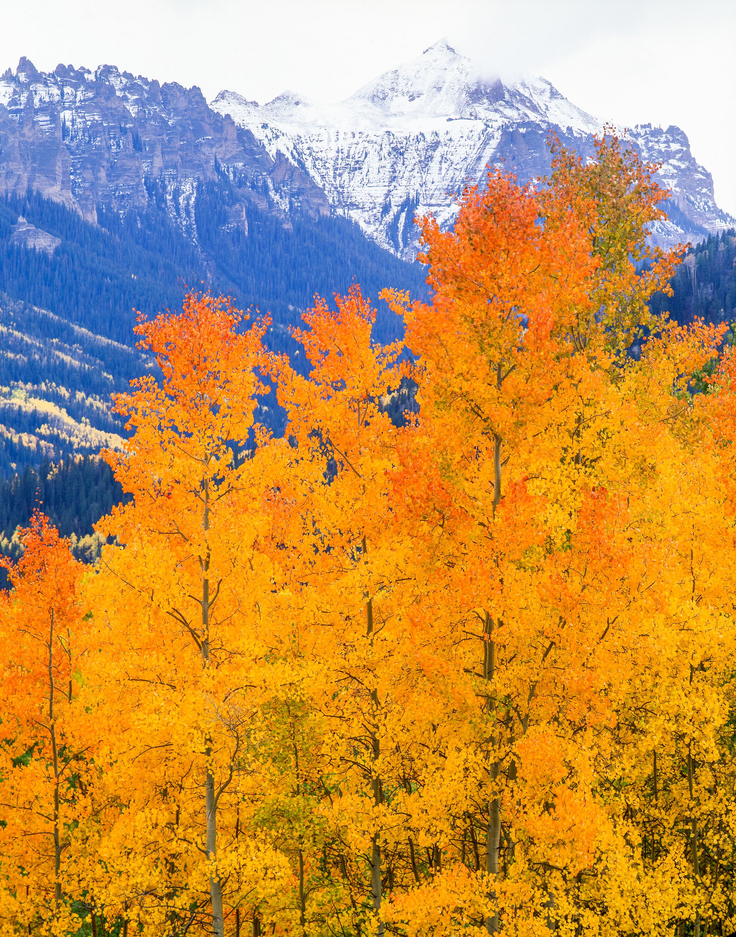 The western  slope