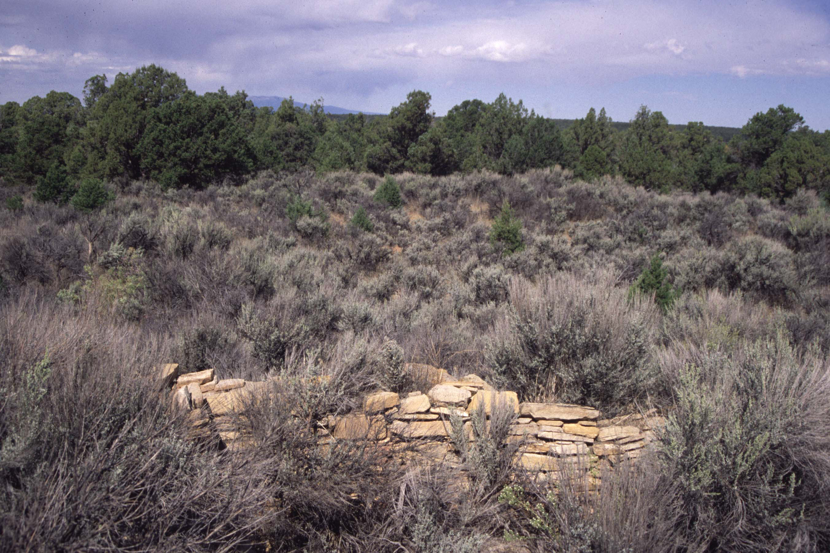 Ansel Hall Ruin 