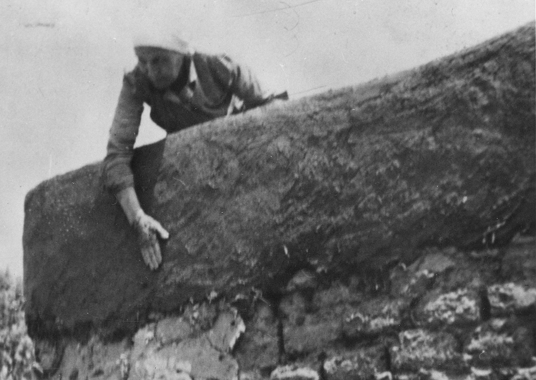 A woman leans over a tall edge of an adobe wall and applies a layer of mud.