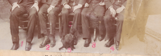 Same Howe Cat hero