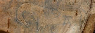 Crack Cave painted rock art depicting a horse with a gracefully elongated neck