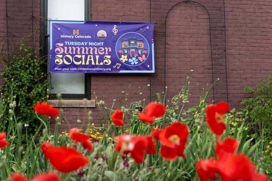 Red poppies outside the Center for Colorado Women's History. Posted on the side of the buiilding is a purple sign for Tuesday Night Summer Socials.