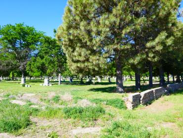 Photo is of a cemetery with many headstones. There is a large line of trees to the right of the majority of the headstones. 