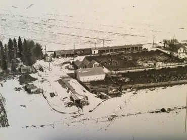 picture of a farm