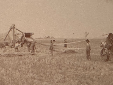 picture of a farm