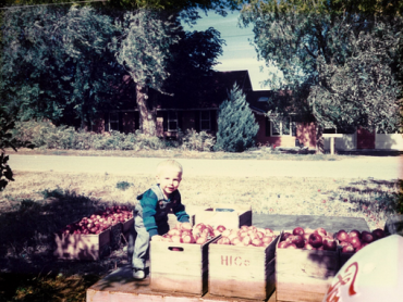 picture of an apple orchard