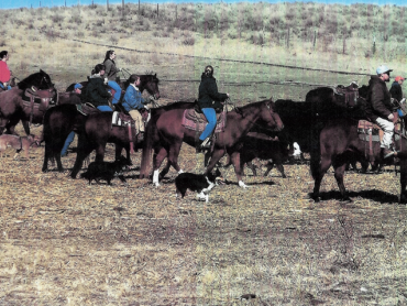 people on horseback