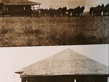 picture of a farm