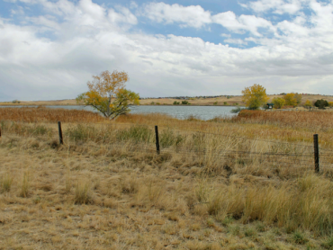 picture of a field.