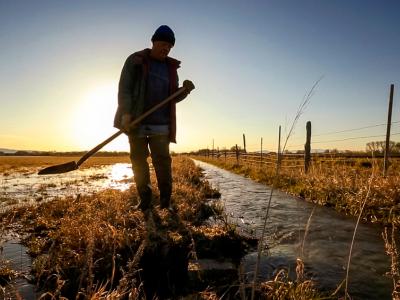 Acequia Work