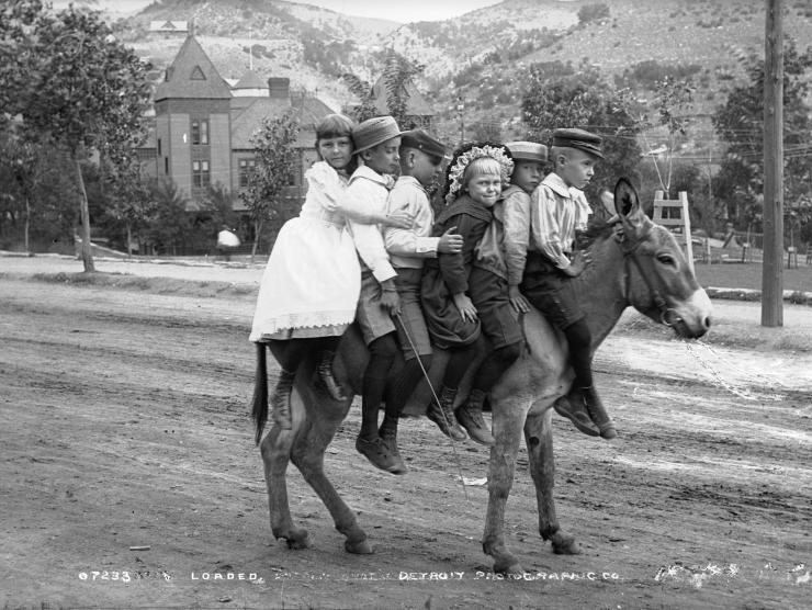 kids on mule